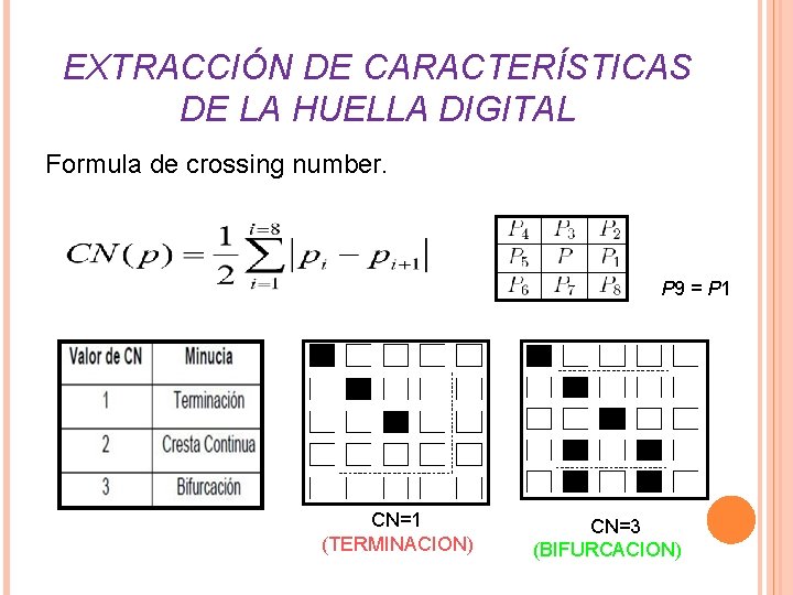 EXTRACCIÓN DE CARACTERÍSTICAS DE LA HUELLA DIGITAL Formula de crossing number. P 9 = EXTRACCIÓN DE CARACTERÍSTICAS DE LA HUELLA DIGITAL Formula de crossing number. P 9 =