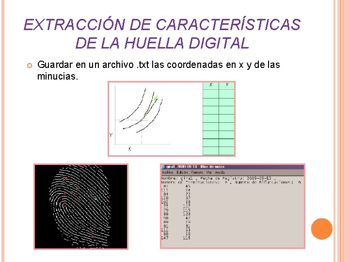 EXTRACCIÓN DE CARACTERÍSTICAS DE LA HUELLA DIGITAL Guardar en un archivo. txt las coordenadas EXTRACCIÓN DE CARACTERÍSTICAS DE LA HUELLA DIGITAL Guardar en un archivo. txt las coordenadas