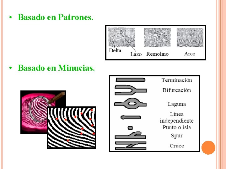 • Basado en Patrones. • Basado en Minucias. • Basado en Patrones. • Basado en Minucias.