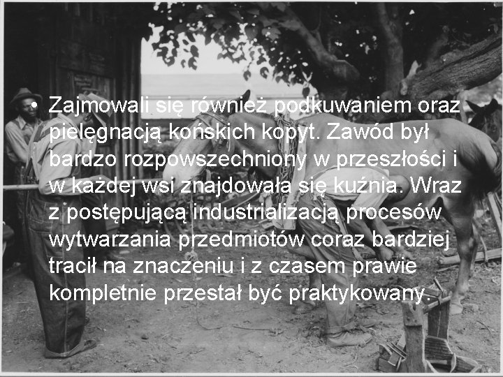  • Zajmowali się również podkuwaniem oraz pielęgnacją końskich kopyt. Zawód był bardzo rozpowszechniony