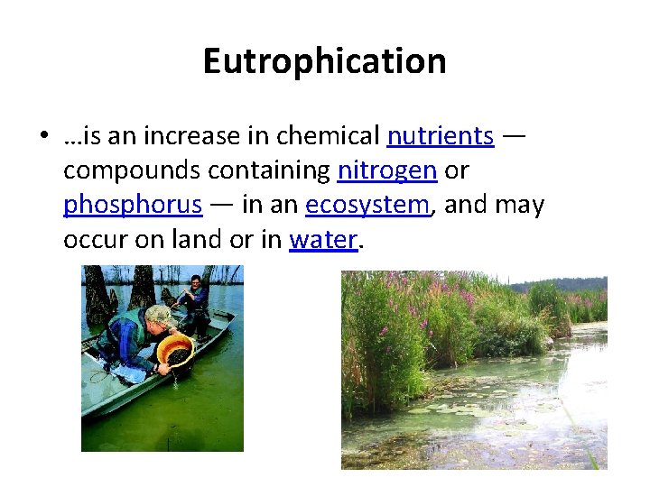 Eutrophication • …is an increase in chemical nutrients — compounds containing nitrogen or phosphorus