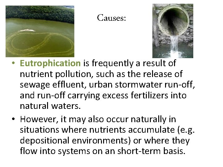 Causes: • Eutrophication is frequently a result of nutrient pollution, such as the release