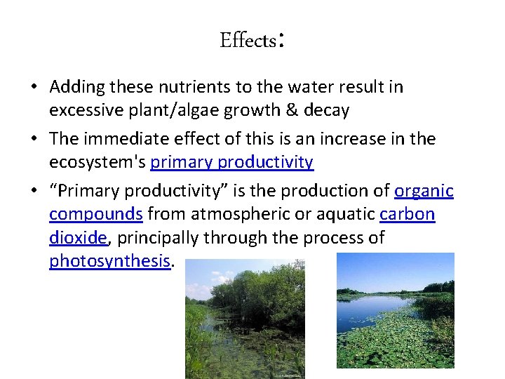 Effects: • Adding these nutrients to the water result in excessive plant/algae growth &
