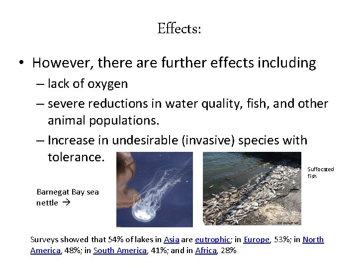 Effects: • However, there are further effects including – lack of oxygen – severe