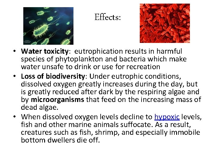 Effects: • Water toxicity: eutrophication results in harmful species of phytoplankton and bacteria which