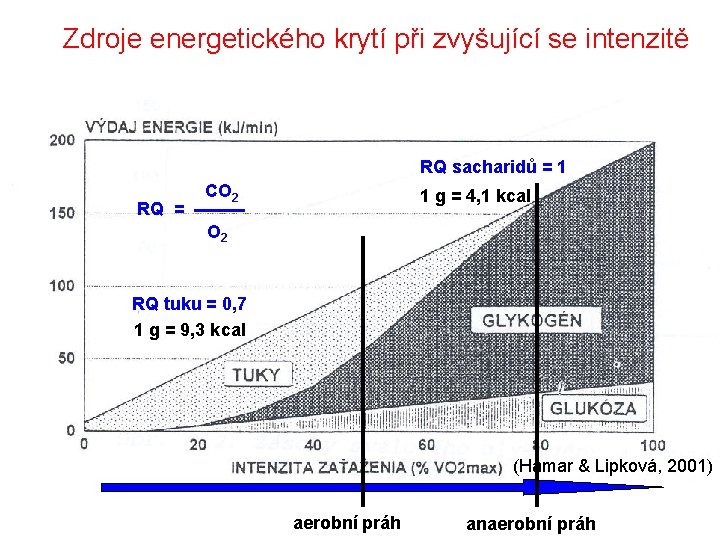 Zdroje energetického krytí při zvyšující se intenzitě RQ sacharidů = 1 RQ = CO