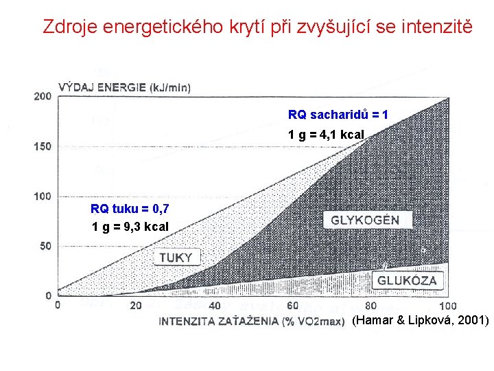 Zdroje energetického krytí při zvyšující se intenzitě RQ sacharidů = 1 1 g =
