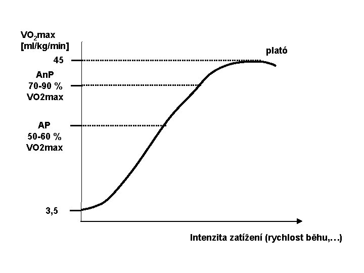VO 2 max [ml/kg/min] 45 plató An. P 70 -90 % VO 2 max