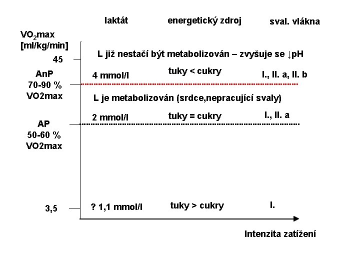 laktát VO 2 max [ml/kg/min] 45 An. P 70 -90 % VO 2 max