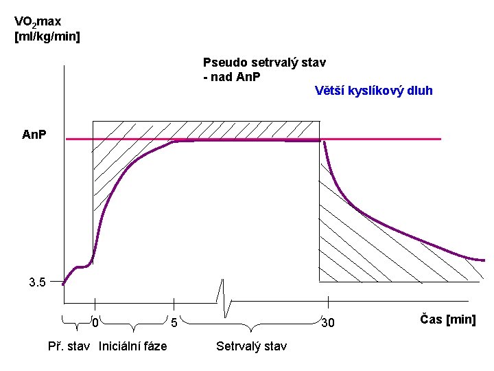 VO 2 max [ml/kg/min] Pseudo setrvalý stav - nad An. P Větší kyslíkový dluh