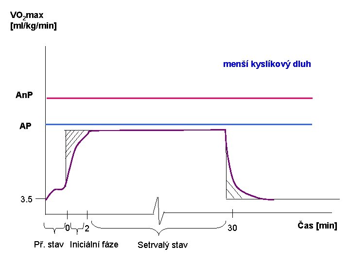 VO 2 max [ml/kg/min] menší kyslíkový dluh An. P AP 3. 5 0 30