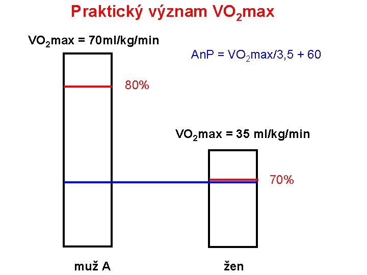 Praktický význam VO 2 max = 70 ml/kg/min An. P = VO 2 max/3,