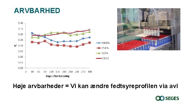 ARVBARHED Høje arvbarheder = Vi kan ændre fedtsyreprofilen via avl ARVBARHED Høje arvbarheder = Vi kan ændre fedtsyreprofilen via avl