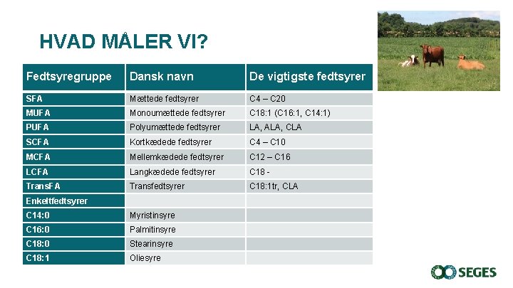 HVAD MÅLER VI? Fedtsyregruppe Dansk navn De vigtigste fedtsyrer SFA Mættede fedtsyrer C 4 HVAD MÅLER VI? Fedtsyregruppe Dansk navn De vigtigste fedtsyrer SFA Mættede fedtsyrer C 4