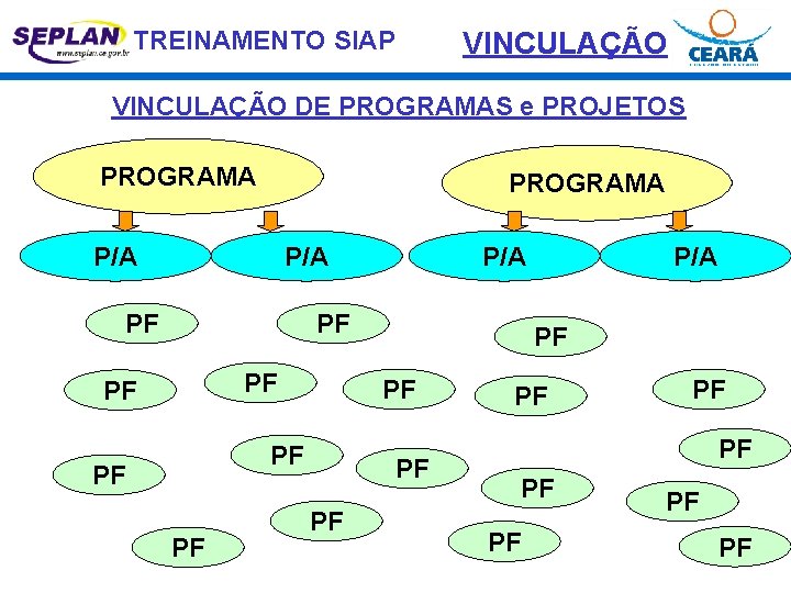 TREINAMENTO SIAP VINCULAÇÃO DE PROGRAMAS e PROJETOS PROGRAMA P/A P/A PF PF PF P/A