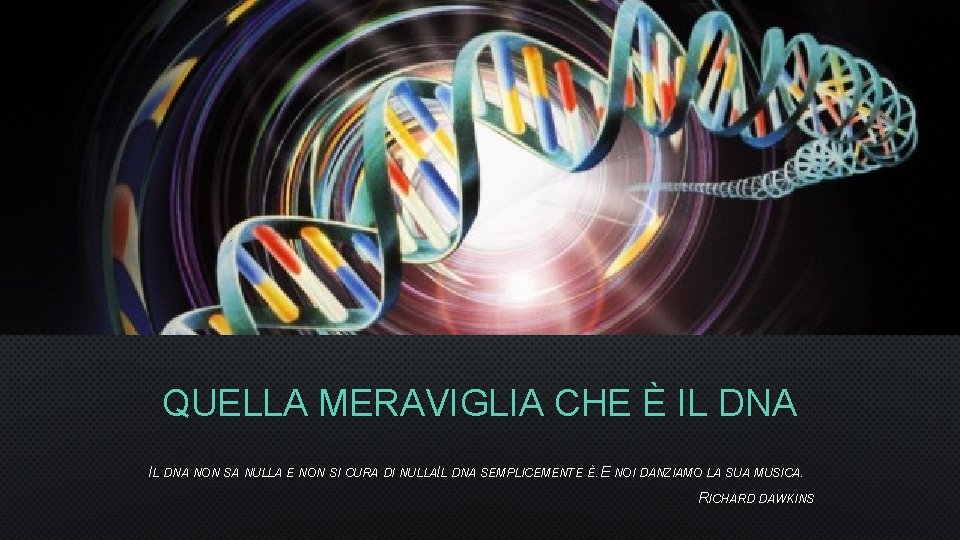 QUELLA MERAVIGLIA CHE È IL DNA NON SA NULLA E NON SI CURA DI