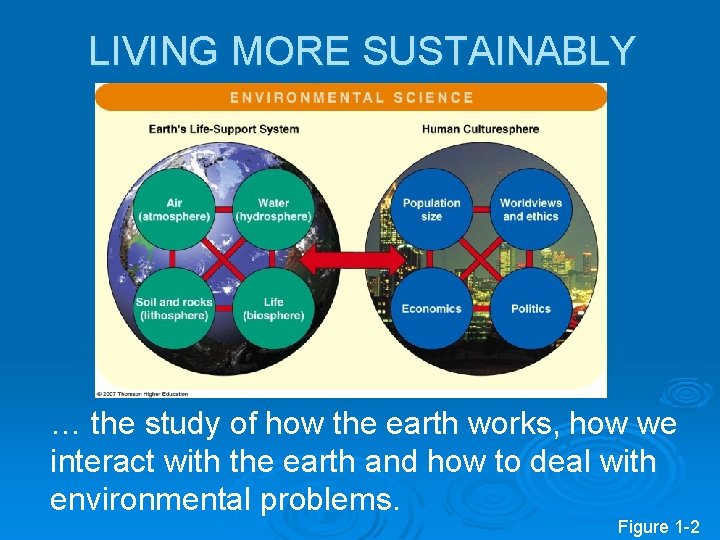 LIVING MORE SUSTAINABLY … the study of how the earth works, how we interact