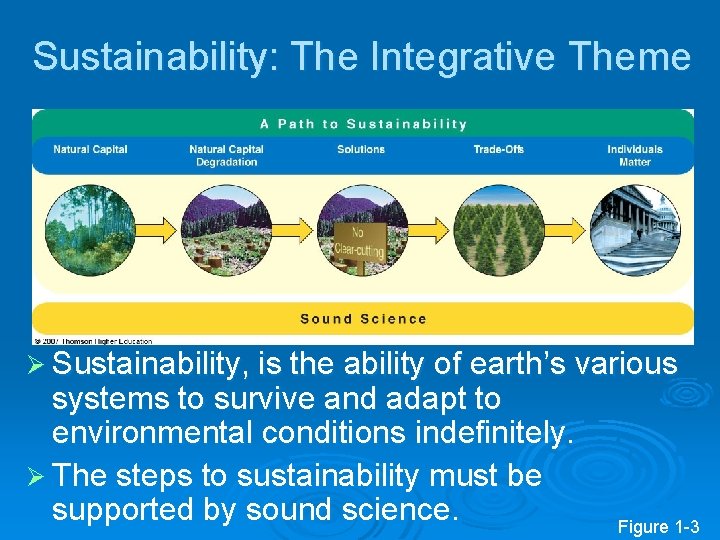Sustainability: The Integrative Theme Ø Sustainability, is the ability of earth’s various systems to
