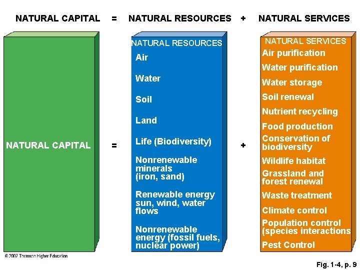 NATURAL CAPITAL = NATURAL RESOURCES + NATURAL SERVICES NATURAL RESOURCES Air purification Air Water