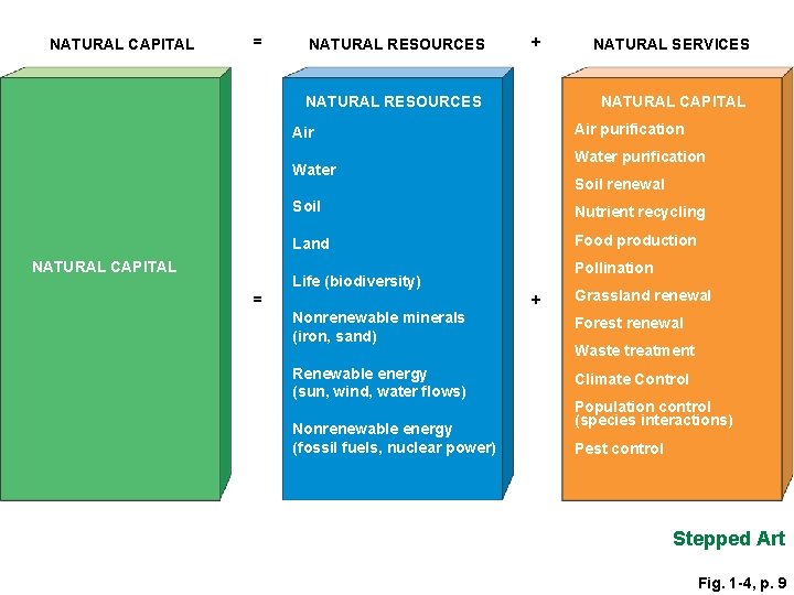 NATURAL CAPITAL = NATURAL RESOURCES + NATURAL RESOURCES NATURAL CAPITAL Air purification Air Water