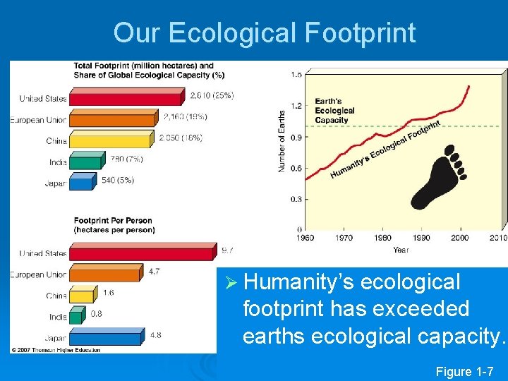 Our Ecological Footprint Ø Humanity’s ecological footprint has exceeded earths ecological capacity. Figure 1