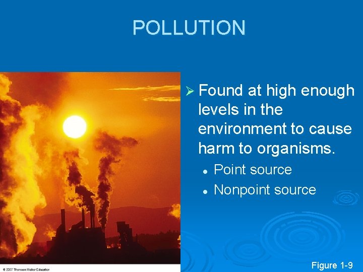 POLLUTION Ø Found at high enough levels in the environment to cause harm to