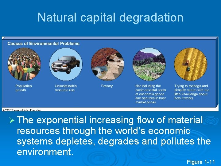 Natural capital degradation Ø The exponential increasing flow of material resources through the world’s