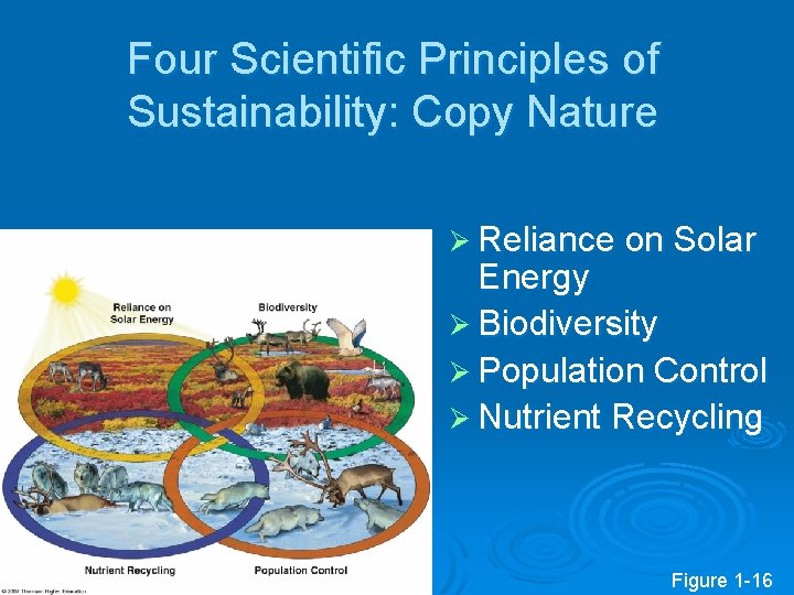 Four Scientific Principles of Sustainability: Copy Nature Ø Reliance on Solar Energy Ø Biodiversity