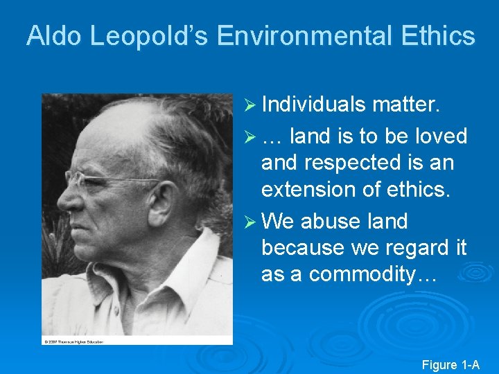 Aldo Leopold’s Environmental Ethics Ø Individuals matter. Ø … land is to be loved