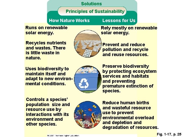 Solutions Principles of Sustainability How Nature Works Runs on renewable solar energy. Recycles nutrients