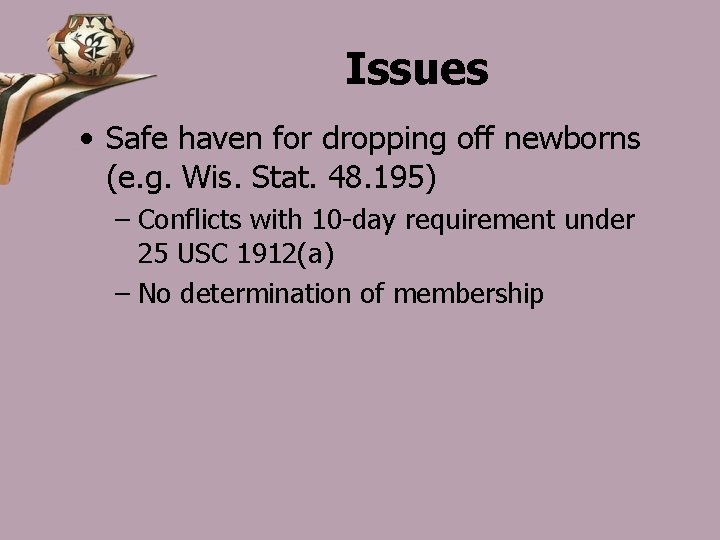 Issues • Safe haven for dropping off newborns (e. g. Wis. Stat. 48. 195)