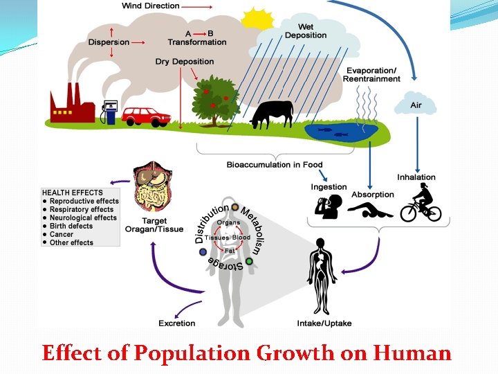 Effect of Population Growth on Human 