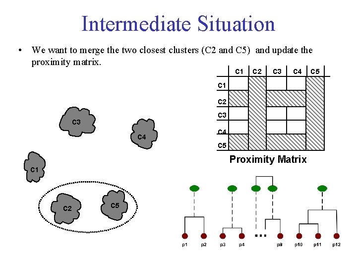 Intermediate Situation • We want to merge the two closest clusters (C 2 and