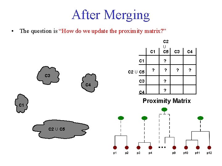 After Merging • The question is “How do we update the proximity matrix? ”