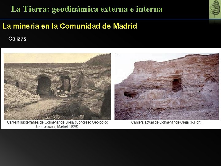 La Tierra: geodinámica externa e interna La minería en la Comunidad de Madrid Calizas