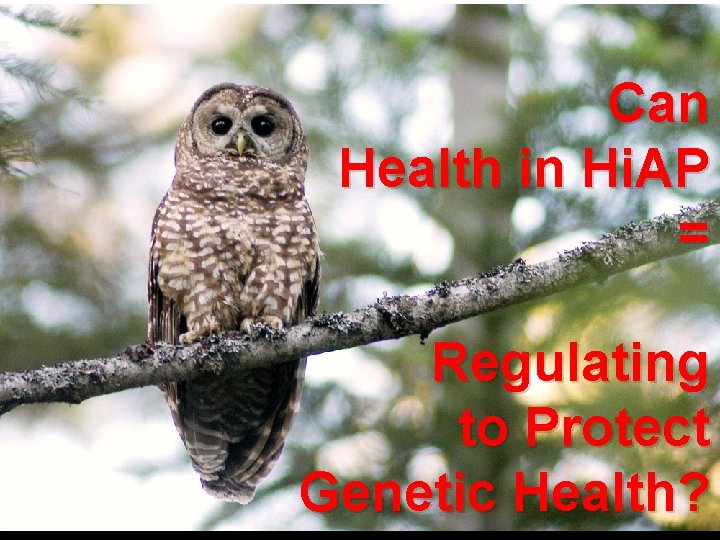 Can Health in Hi. AP = Regulating to Protect Genetic Health? 