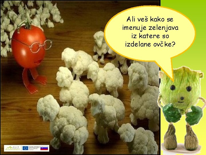 Ali veš kako se imenuje zelenjava iz katere so izdelane ovčke? 