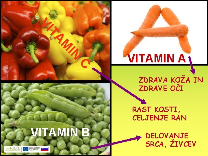 IN M TA VI C VITAMIN A ZDRAVA KOŽA IN ZDRAVE OČI RAST KOSTI,