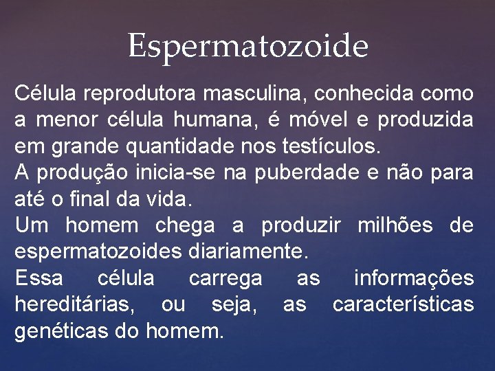 Espermatozoide Célula reprodutora masculina, conhecida como a menor célula humana, é móvel e produzida