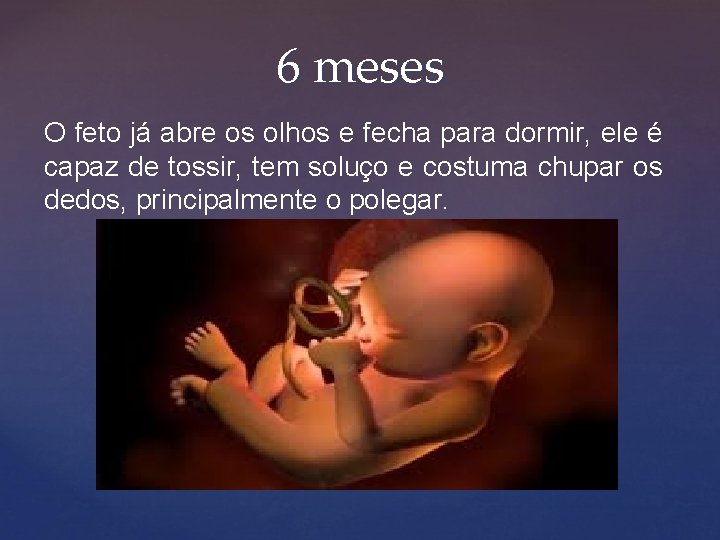 6 meses O feto já abre os olhos e fecha para dormir, ele é