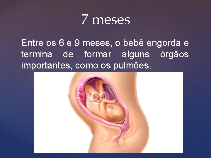 7 meses Entre os 6 e 9 meses, o bebê engorda e termina de