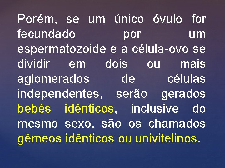 Porém, se um único óvulo for fecundado por um espermatozoide e a célula-ovo se