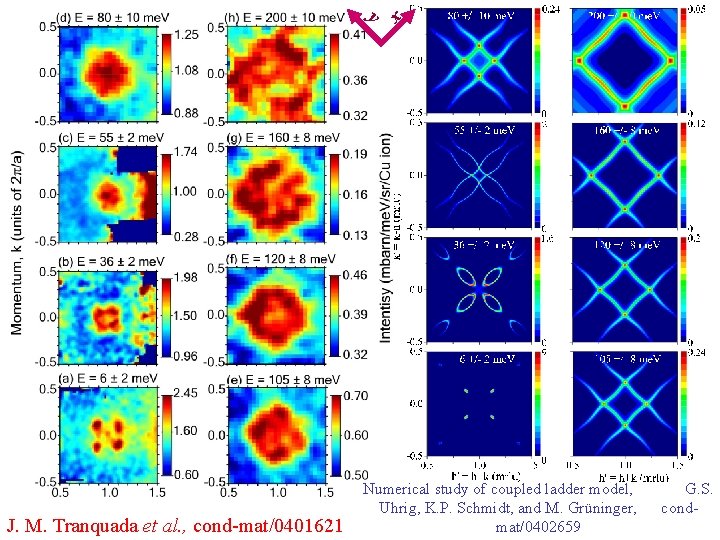 x y J. M. Tranquada et al. , cond-mat/0401621 Numerical study of coupled ladder