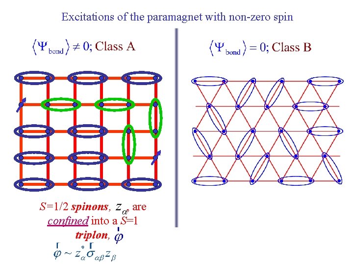 Excitations of the paramagnet with non-zero spin S=1/2 spinons, , are confined into a