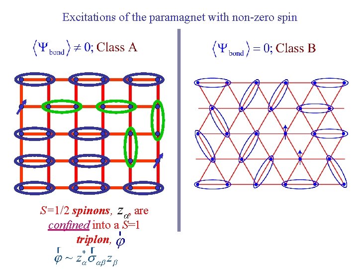 Excitations of the paramagnet with non-zero spin S=1/2 spinons, , are confined into a