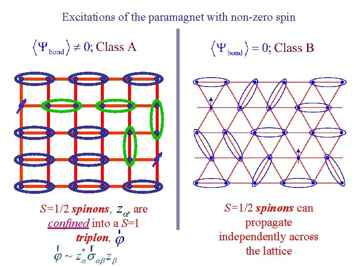 Excitations of the paramagnet with non-zero spin S=1/2 spinons, , are confined into a