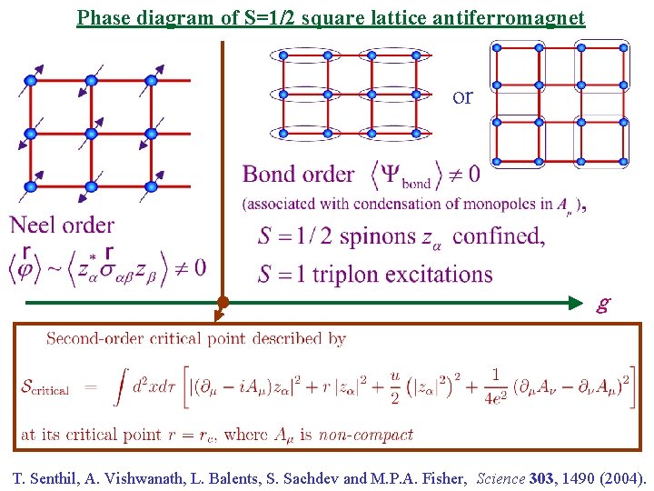 Phase diagram of S=1/2 square lattice antiferromagnet or g T. Senthil, A. Vishwanath, L.