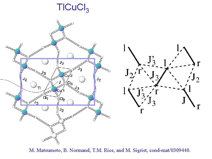 Tl. Cu. Cl 3 M. Matsumoto, B. Normand, T. M. Rice, and M. Sigrist,