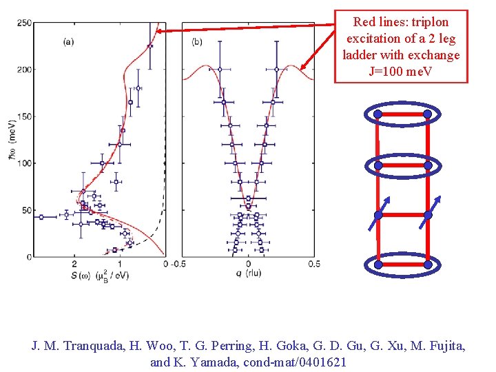 Red lines: triplon excitation of a 2 leg ladder with exchange J=100 me. V