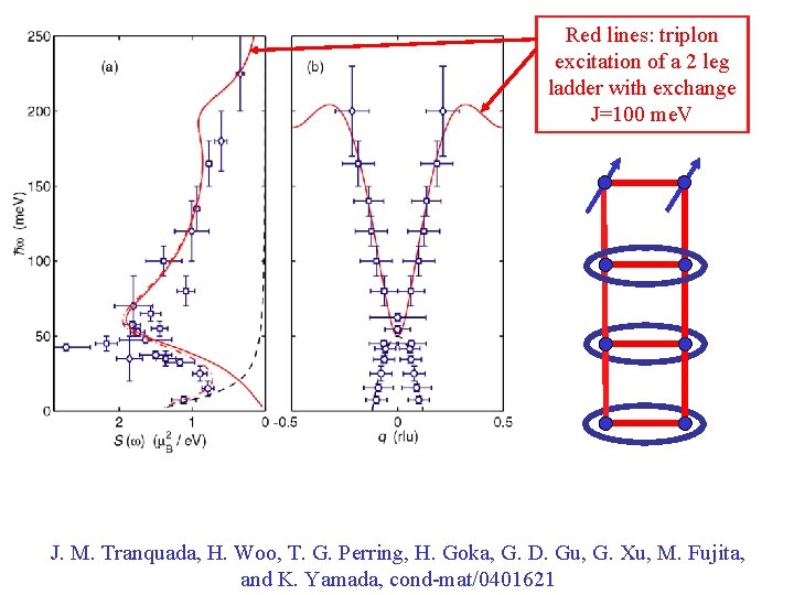 Red lines: triplon excitation of a 2 leg ladder with exchange J=100 me. V